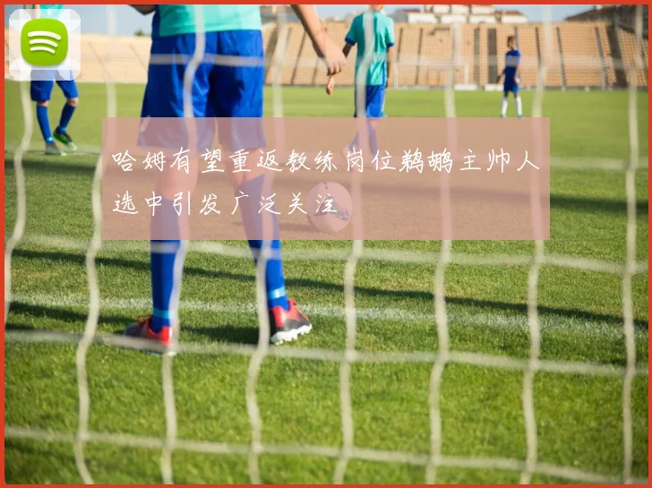 哈姆有望重返教练岗位鹈鹕主帅人选中引发广泛关注